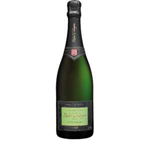 Champagne Roland Champion Aramis300 (2)
